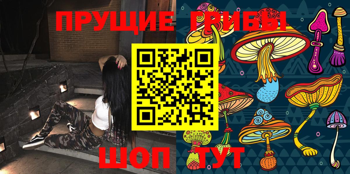 как найти закладки  Вход с VPN  Златоуст  Галлюциногенные грибы GOLDEN TEACHER 